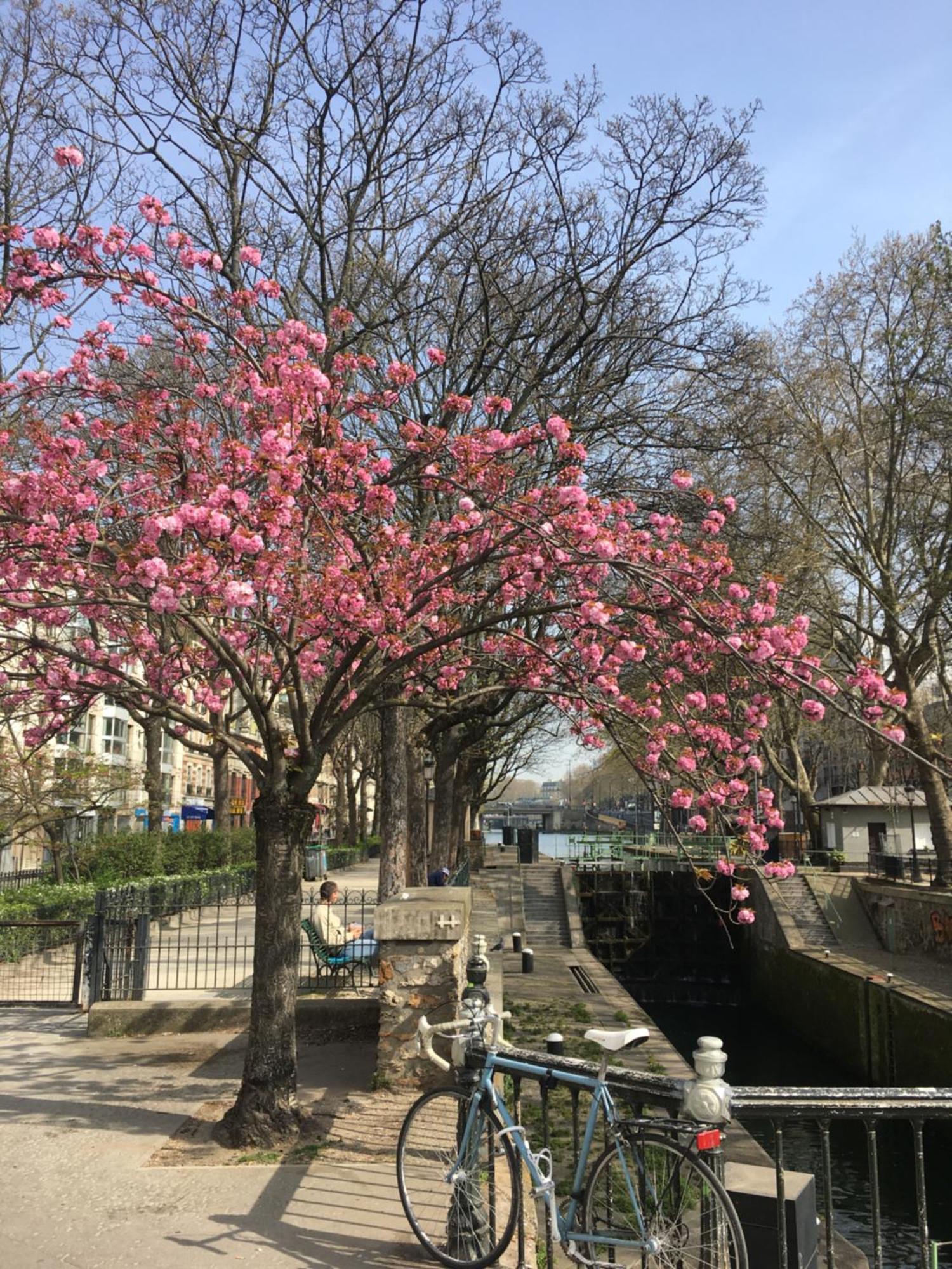 A Paris, Au Bord De L'Eau Apartment Exterior photo